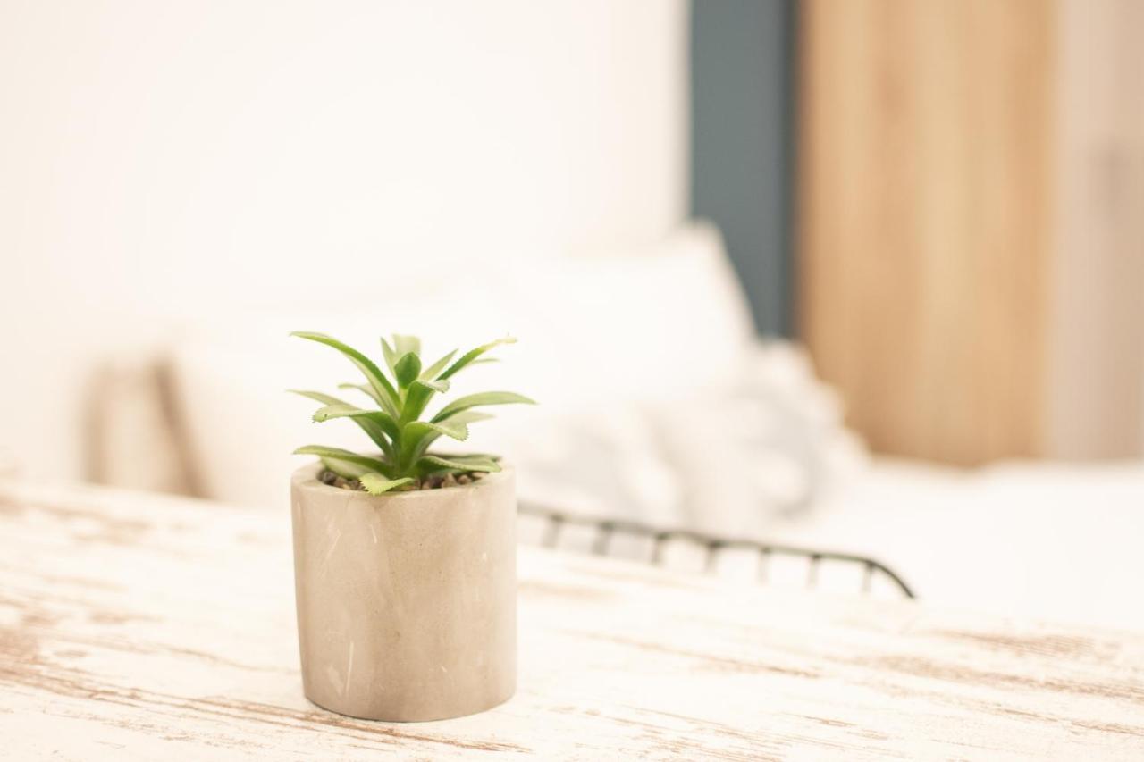 Skg Premium Studios Soluň Exteriér fotografie